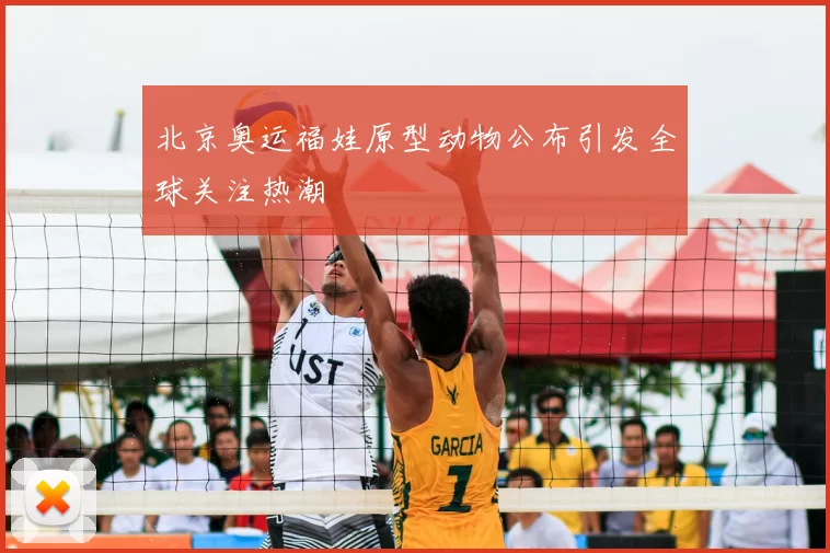 北京奥运福娃原型动物公布引发全球关注热潮
