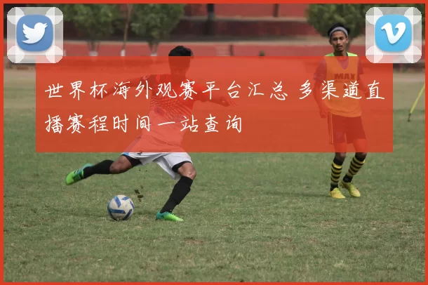 世界杯海外观赛平台汇总 多渠道直播赛程时间一站查询
