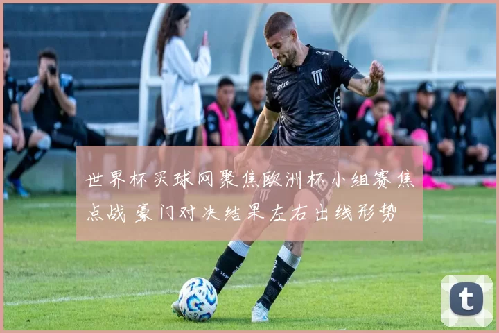 世界杯买球网聚焦欧洲杯小组赛焦点战 豪门对决结果左右出线形势